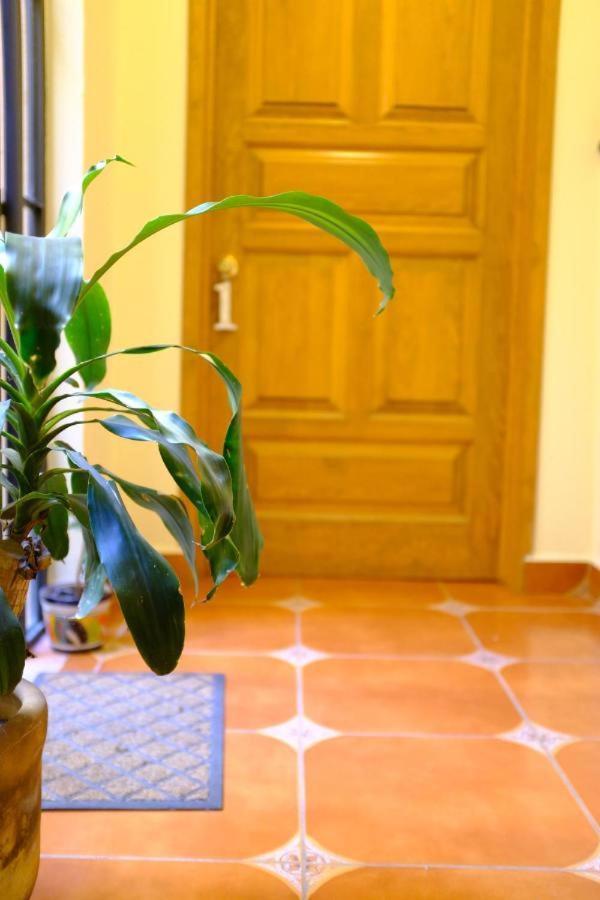 Pozzito Boutique Bed & Breakfast San Miguel de Allende Exterior foto