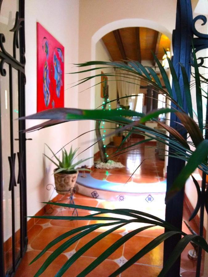 Pozzito Boutique Bed & Breakfast San Miguel de Allende Exterior foto